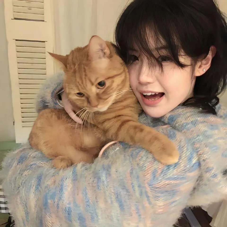 在我心里的星星