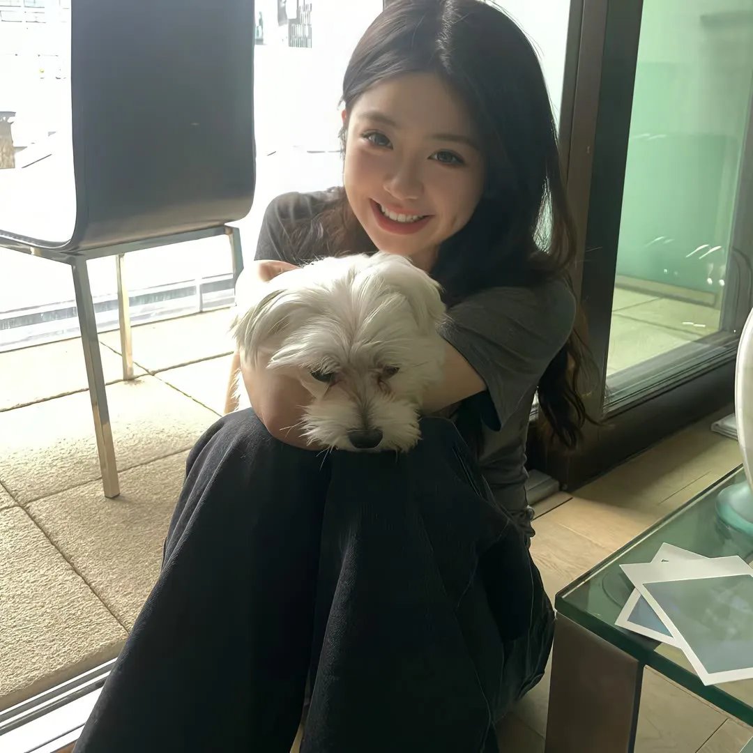 往这边看向井君